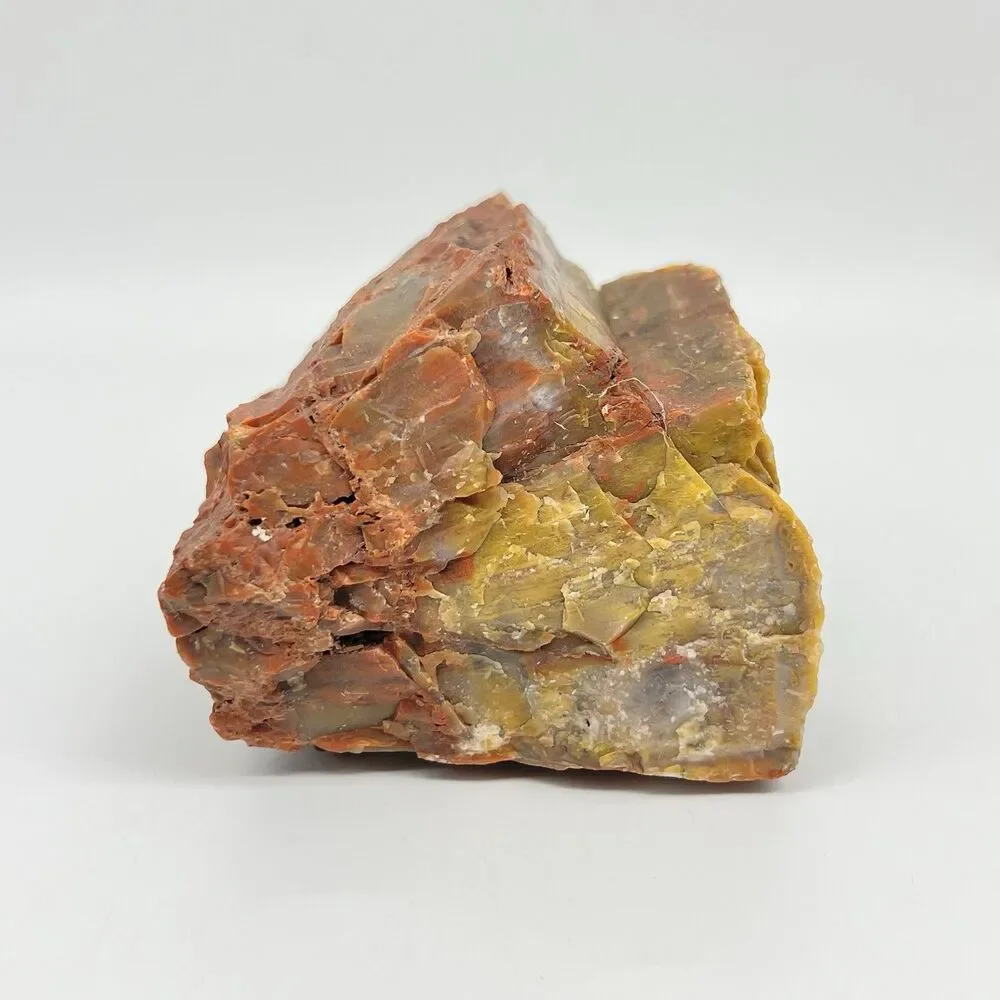 Arizona Rainbow Petrified Wood Specimen Agatized Fossil Rock 1.7lb Red Brown VTG